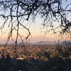 Meet your Posher, Kenny